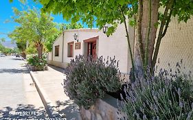 Cardones De Molinos